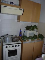продам плиту и вытяжку